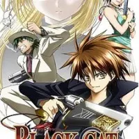 Постер аниме Чёрный кот