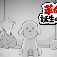 Постер аниме Декапу, пёс-революционер: Рождение