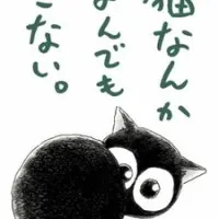 Постер аниме Я не могу поймать кота