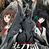 Постер аниме Меч Гая. Часть 2