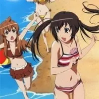 Постер аниме Сёстры Минами: Летние каникулы